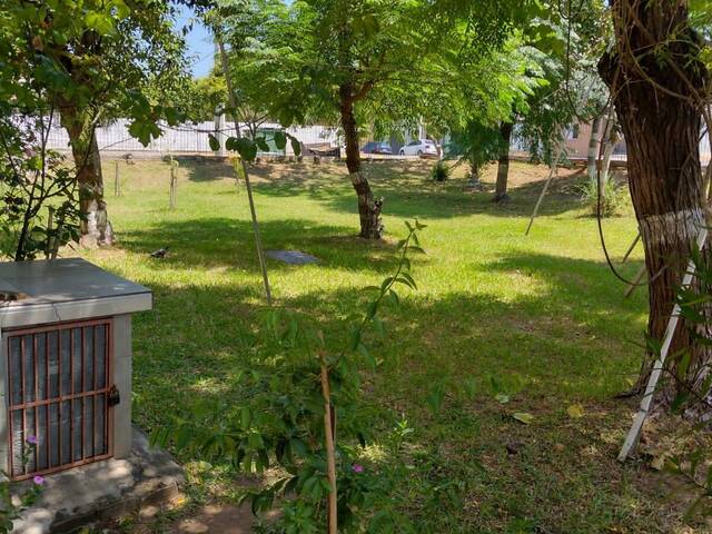 Apartamento para Venda em Sapucaia do Sul - 5