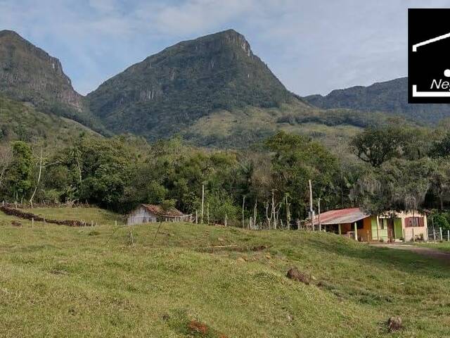 #373 - Sítio para Venda em Morrinhos do Sul - RS - 3