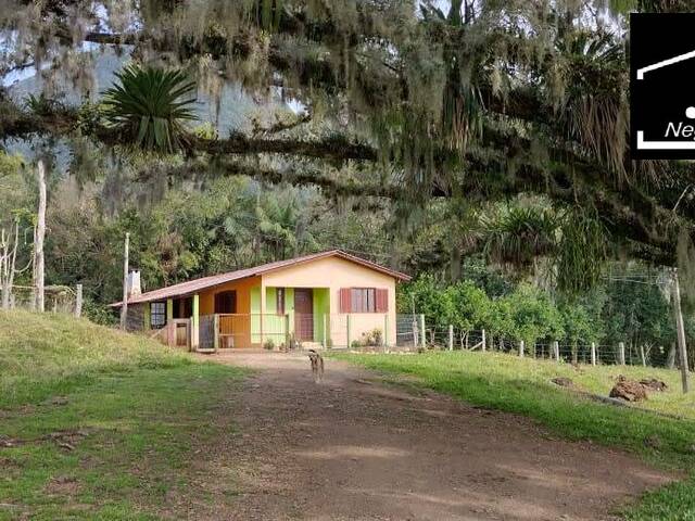 #373 - Sítio para Venda em Morrinhos do Sul - RS - 2