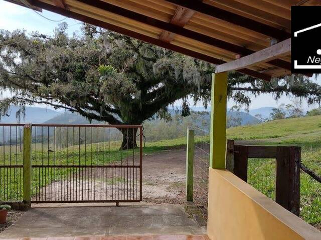 #373 - Sítio para Venda em Morrinhos do Sul - RS - 1