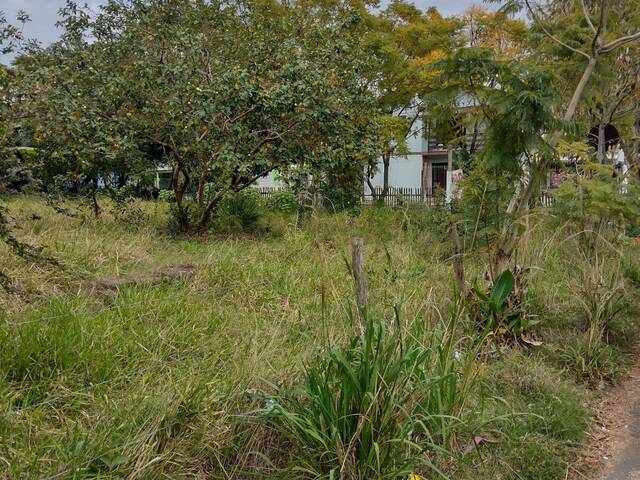 #533 - Terreno para Venda em Sapucaia do Sul - RS - 2