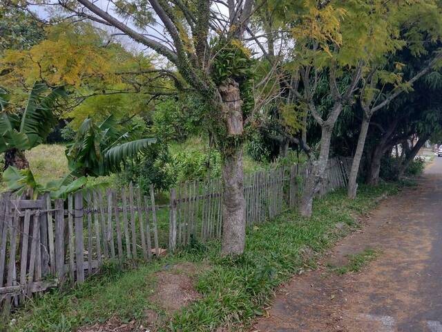 #533 - Terreno para Venda em Sapucaia do Sul - RS - 3